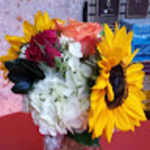 Meet your Posher, Molly